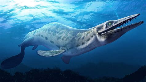  Mosasaurus: Một Con Quái Vật Biển Cổ Đại Mà Bạn Chắc Chắn Sẽ Muốn Biết